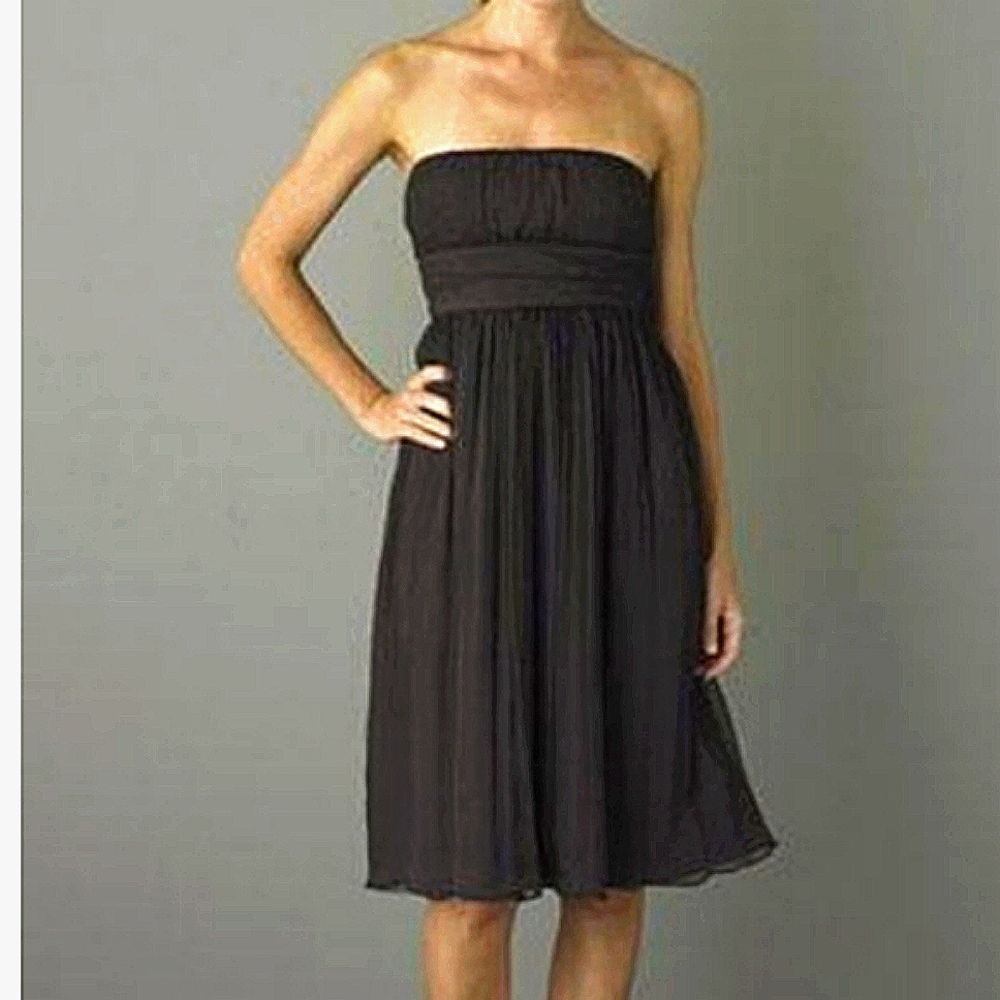 J. CREW Burgundy SILK Chiffon Strapless Dress Sz S NEW WITH TAGS